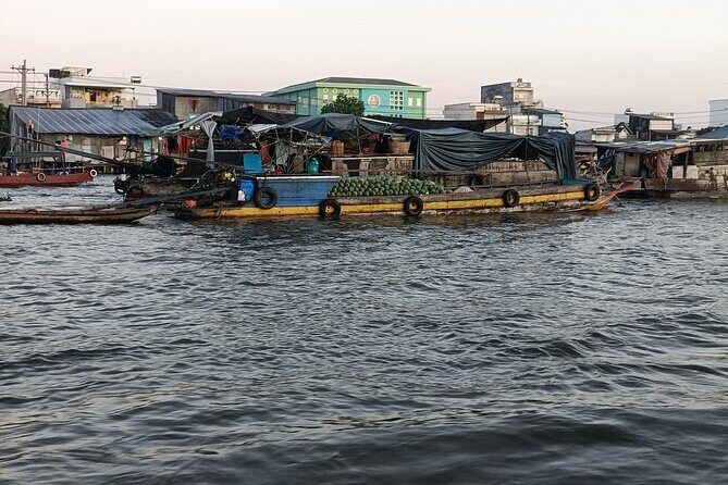 Deluxe Mekong Delta Tour to Floating Market 2 Days 1 Night Trip - Who Will Love This Tour?