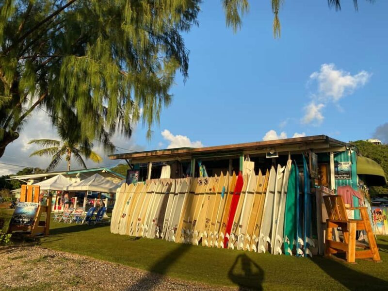 Deluxe North Shore Adventure from Ko Olina - What to Expect From the Itinerary