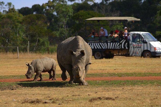 Deluxe Safari Adventure at Werribee Open Range Zoo - excl. entry - Key Points