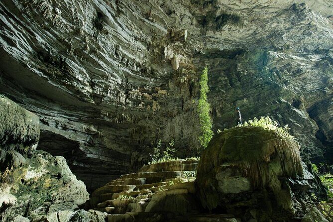 DELUXE SMALL Group : PHONG NHA CAVE And PARADISE CAVE Full Day Guided Tour - The Deep Dive: What to Expect on This Full-Day Adventure