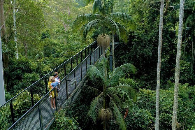 Deluxe Springbrook & Mt Tamborine Glow Worms and famous Skywalk - Key Points