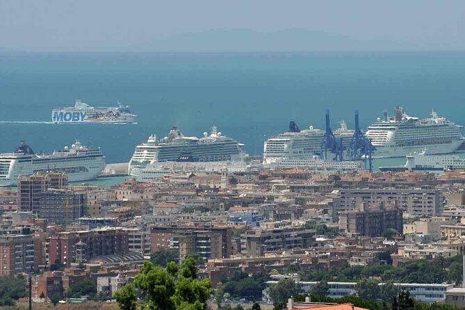 Deluxe transfer from Cruise port to Rome - The Driver’s Role and Multilingual Assistance