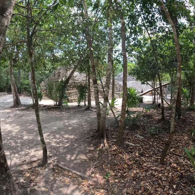 Deluxe Tulum, Coba & 5th Avenue from Cancun - Who Should Consider This Tour?