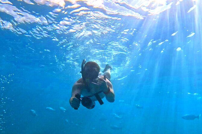 Deluxe Turtle Snorkeling Escapade at Waikiki - A Closer Look at the Experience