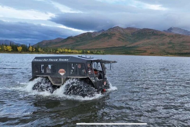 Denali: 3 Hour Fat Truck/SHERP Off-Road Adventure - Discovering the Rugged Terrain of Denali