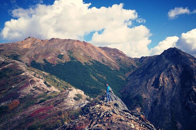 Denali 4 Hour Hiking Adventure with Naturalist Guide - Who Will Love This Tour?