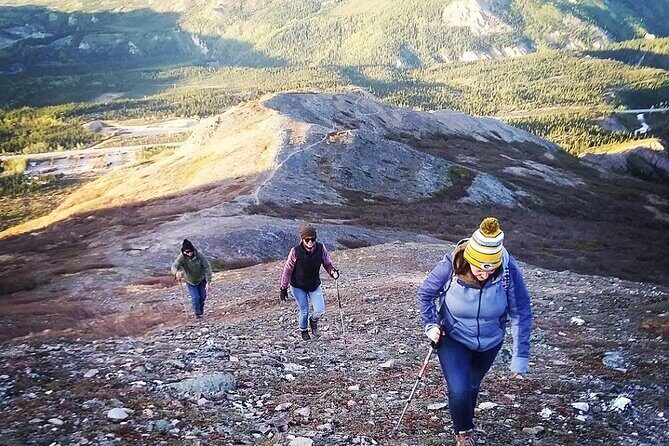 Denali 4 Hour Hiking Adventure with Naturalist Guide - FAQ