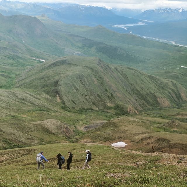 Denali: 5-Hour Guided Wilderness Hiking Tour - The Sum Up