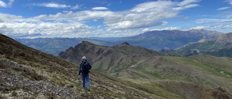 Denali: Denali National Park Walking Tour - The Itinerary Breakdown