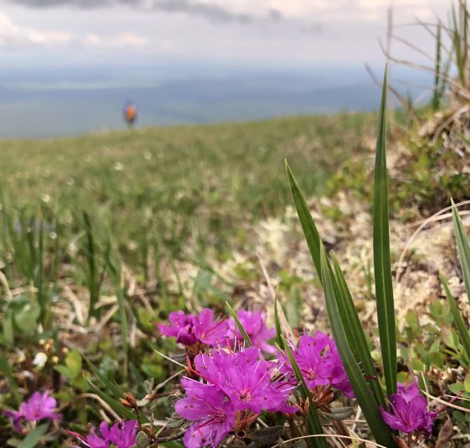 Denali: Denali National Park Walking Tour - Comfort and Equipment