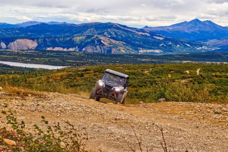 Denali: Explore the Backcountry with an ATV Ride - What to Expect on Your Ride