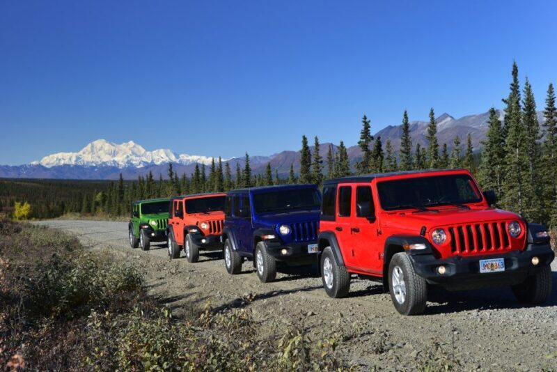 Denali Highway Jeep Excursion - An In-Depth Look at the Tour Experience