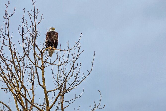 Denali Highway Overnight Excursion - Comfort and Practicalities