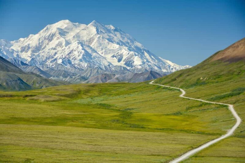 Denali in a Day  Full-Day Sightseeing Tour - A Detailed Look at the Denali in a Day Tour