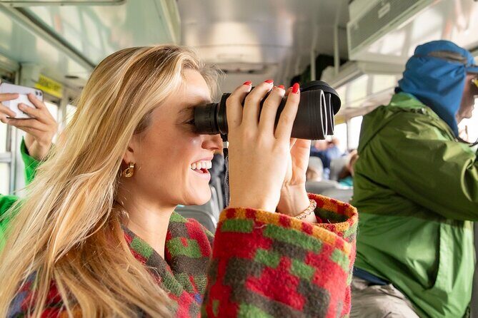 Denali in a Day Sightseeing Package - An In-Depth Look at the Denali in a Day Tour