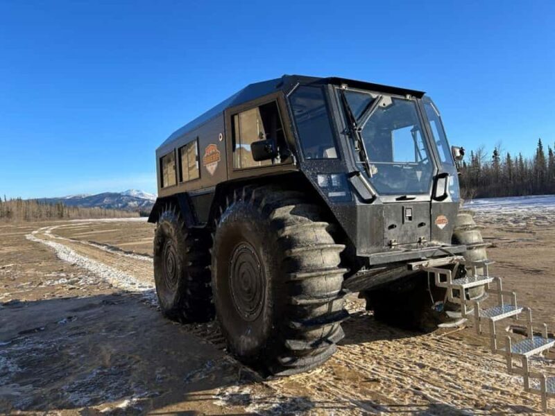 Denali National Park: Full-Day Fairbanks-Denali Adventure - An Overview of the Tour Experience