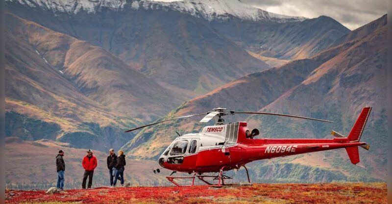 Denali National Park: Helicopter and Hike Adventure - An In-Depth Look at the Denali Helicopter and Hike Experience