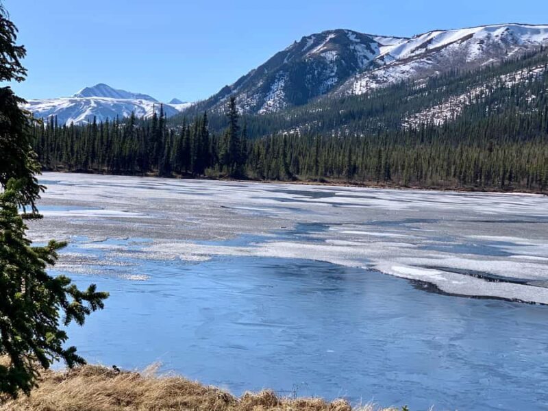 Denali National Park: Triple Lakes Trail Guided Hike - An Authentic Experience in Denali’s Wilderness
