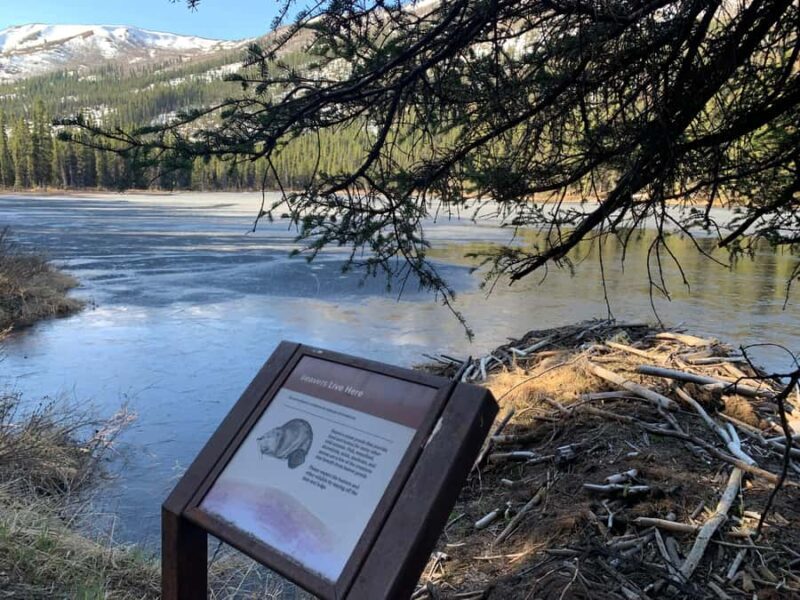 Denali National Park: Triple Lakes Trail Guided Hike - Who Should Consider This Tour?