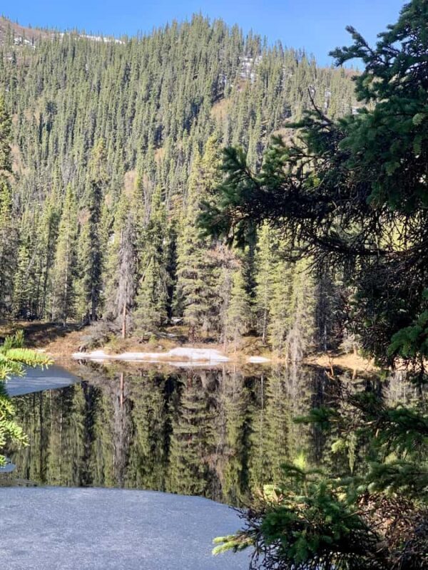 Denali National Park: Triple Lakes Trail Guided Hike - The Sum Up