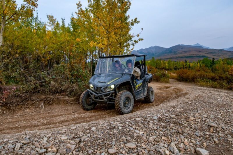 Denali National Park: Wilderness ATV Adventure - The Experience in Detail