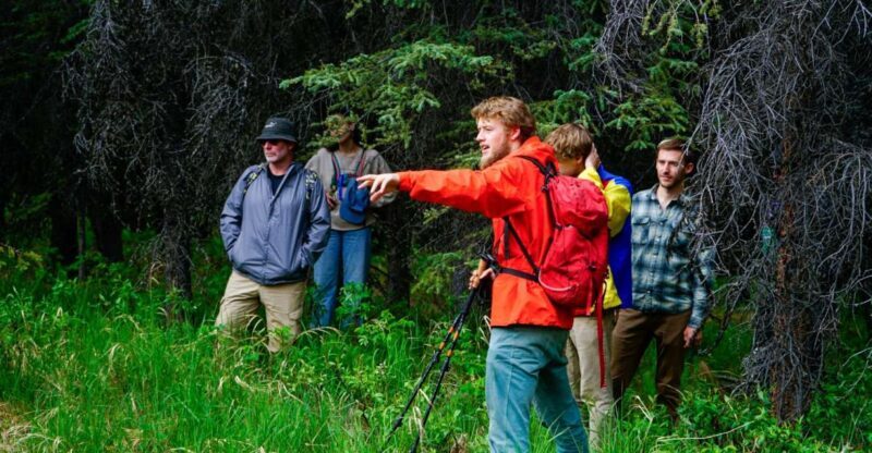 Denali: Naturalist Walking Tour in Denali National Park - The Itinerary Breakdown
