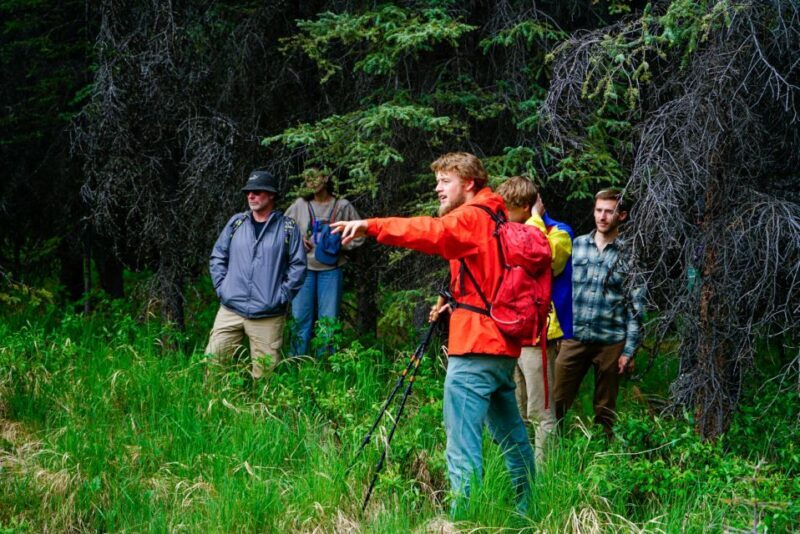 Denali: Naturalist Walking Tour in Denali National Park - Practical Details You Need to Know