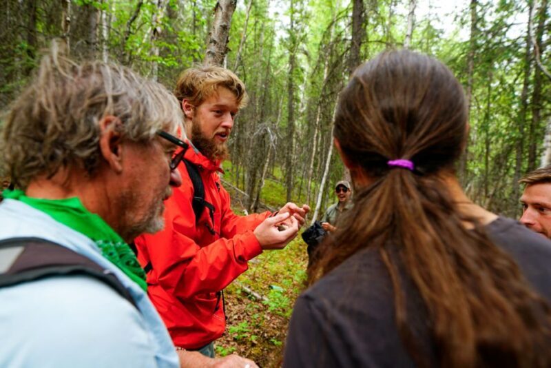 Denali: Naturalist Walking Tour in Denali National Park - The Authentic Experience: What Reviewers Say