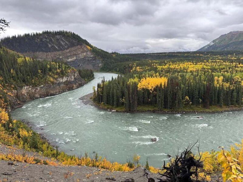 Denali: Nenana River Trail Guided Hike with Pickup - An Authentic Wilderness Walk in Denali