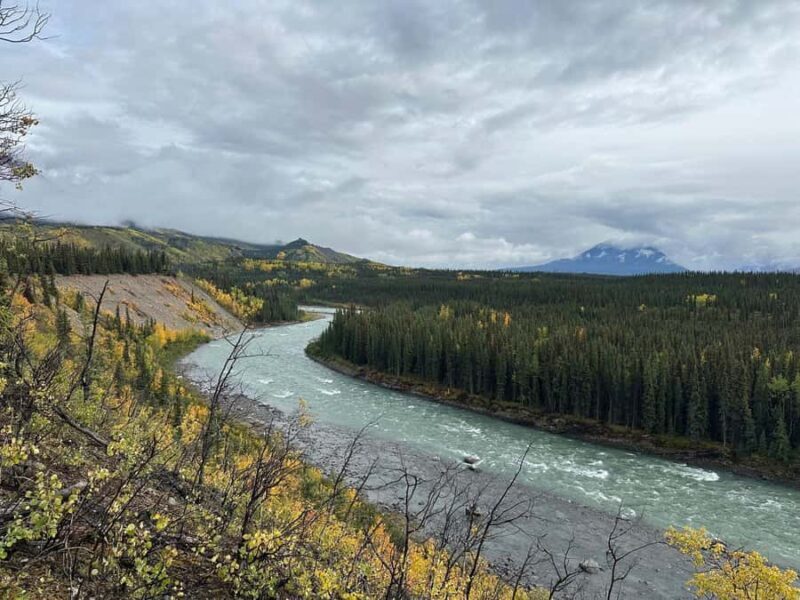 Denali: Nenana River Trail Guided Hike with Pickup - What You’ll Learn and See