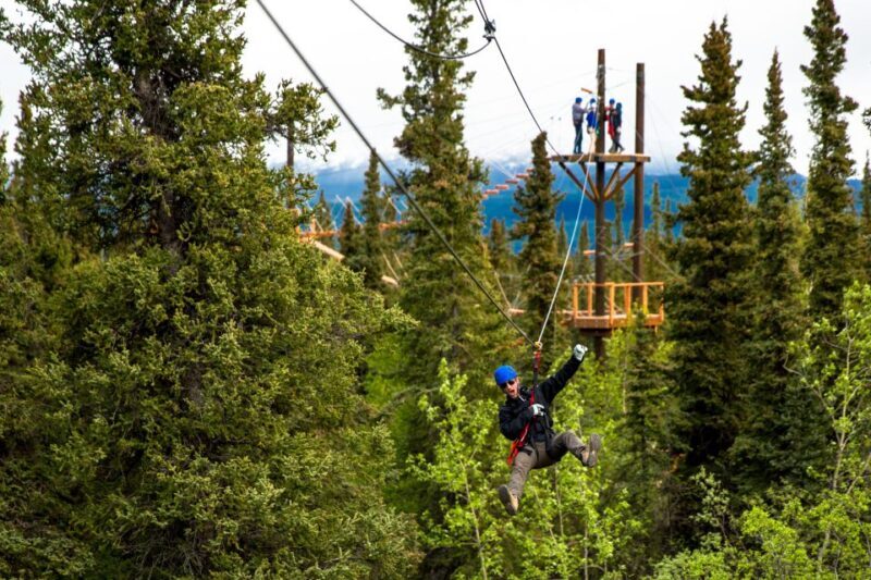 Denali Park Zipline Adventure - Key Points