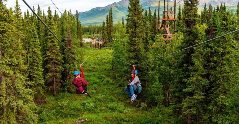 Denali Park Zipline Adventure - The Itinerary: What to Expect on Your Zipline Journey