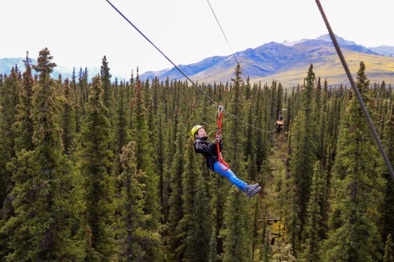 Denali Park Zipline Adventure - Practical Information and Value