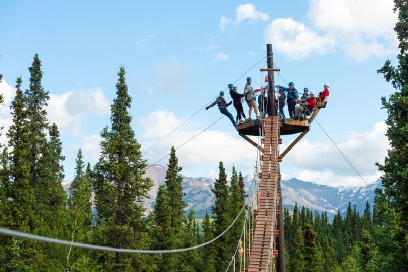 Denali Park Zipline Adventure - Who Will Enjoy This Tour?