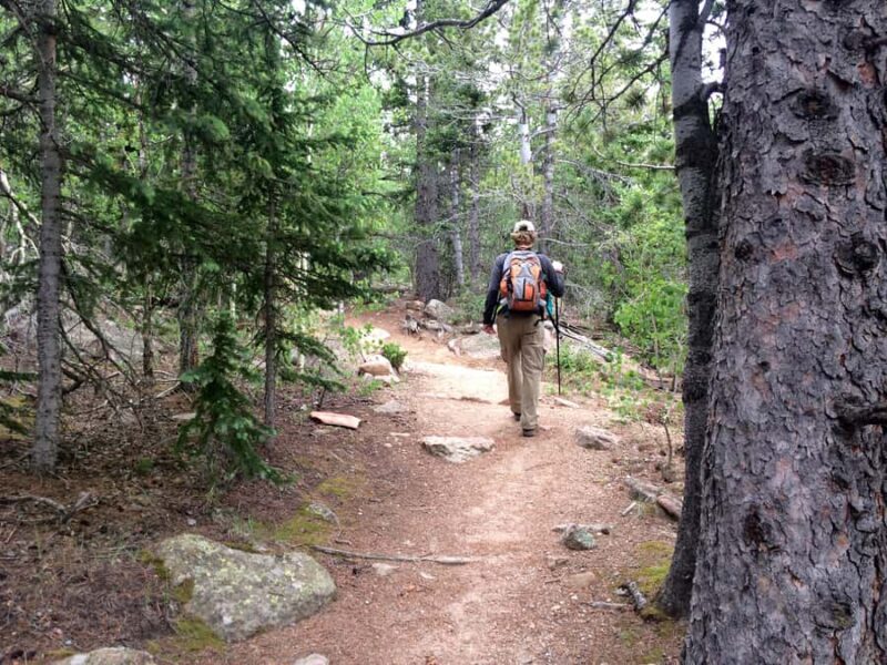 Denali: Rock Creek Trail Guided Evening Hike with Pickup - Frequently Asked Questions