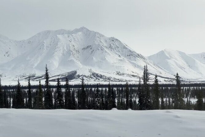 Denali Summer Winter Trial Shuttle with Professional Camera - Potential Drawbacks or Considerations