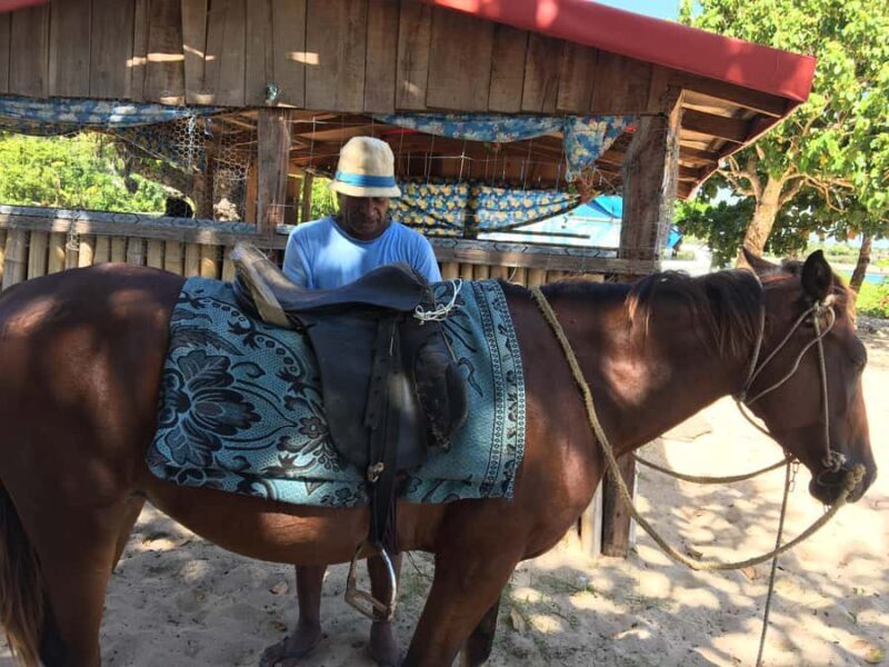 Denarau Island Cruise Ship Port to Natadola Beach Round Trip - An Authentic Day at Natadola Beach