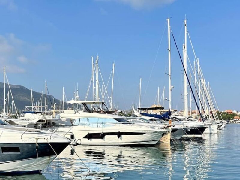 Denia: Guided Walking Tour - The Port and Seaside Charm