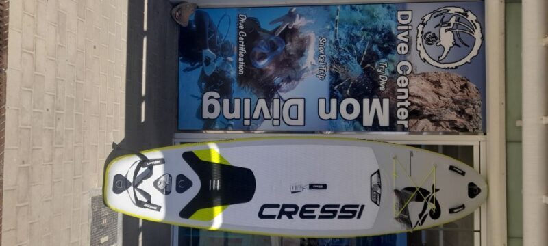 Dénia: Paddle Surfboard Rental - Key Points