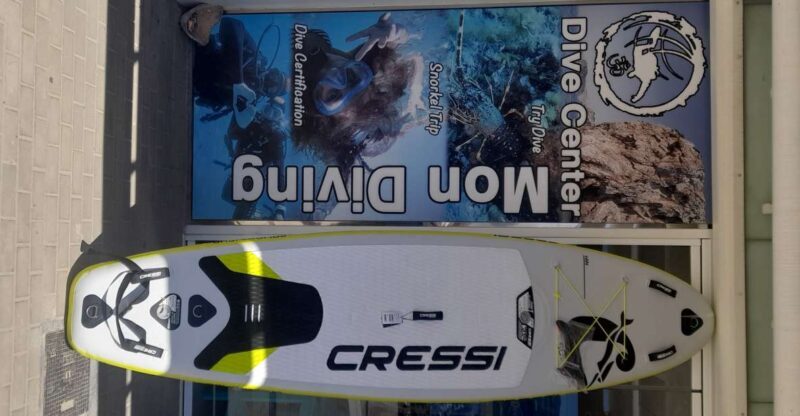 Dénia: Paddle Surfboard Rental - A Deep Dive into the Paddle Surfboard Rental Experience