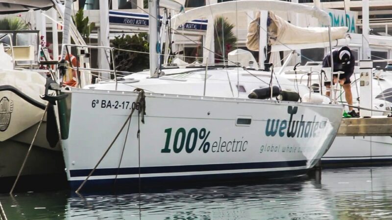 Denia: Sunset Electric Sailboat Cruise with Dolphin Spotting - A Deep Dive into the Experience