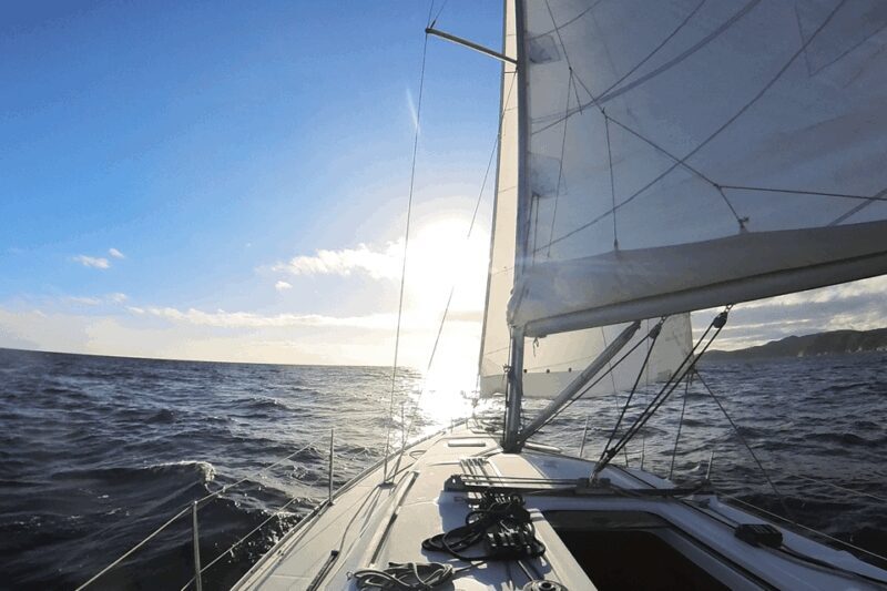 Denia: Sunset Electric Sailboat Cruise with Dolphin Spotting - FAQ