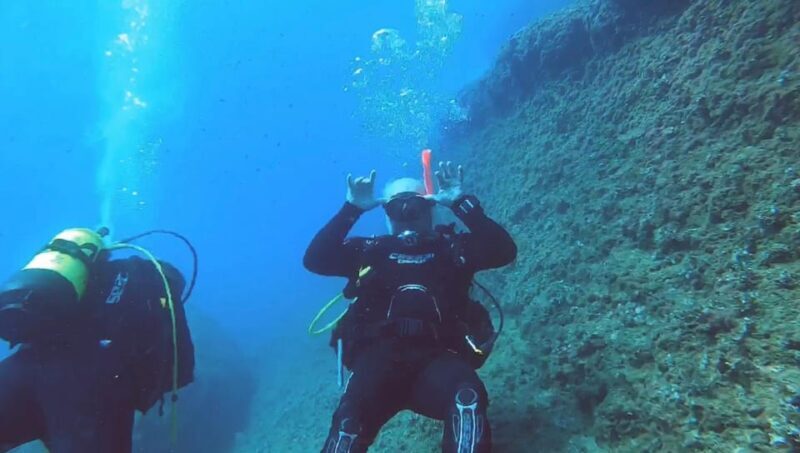 Denia: The fascination of diving on the Costa Blanca - Key Points