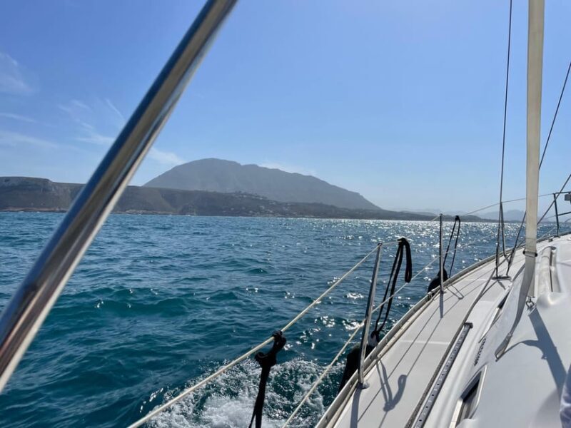 Denia: Whale and Dolphin Watching Morning Experience - Key Points