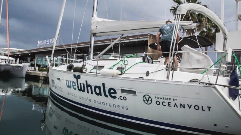 Denia: Whale and Dolphin Watching Morning Experience - Final Thoughts