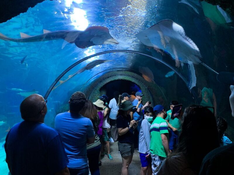 Denver: Downtown Aquarium All-Day Pass - The Value Proposition
