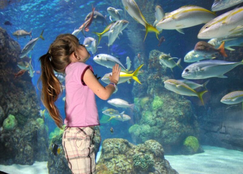 Denver: Downtown Aquarium All-Day Pass - Who Will Love This Experience?