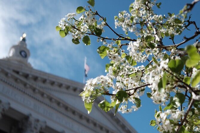 Denver, Golden, Lookout Mountain - The Sum Up: Who Should Book This Tour?