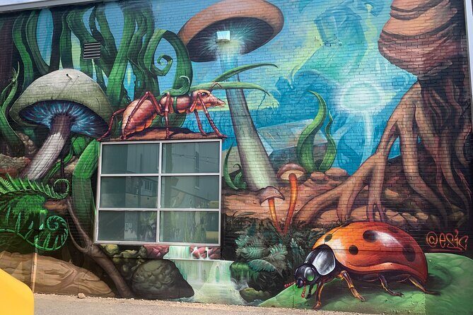 Denver Graffiti North RiNo Tour - A Detailed Look at the Denver Graffiti North RiNo Tour