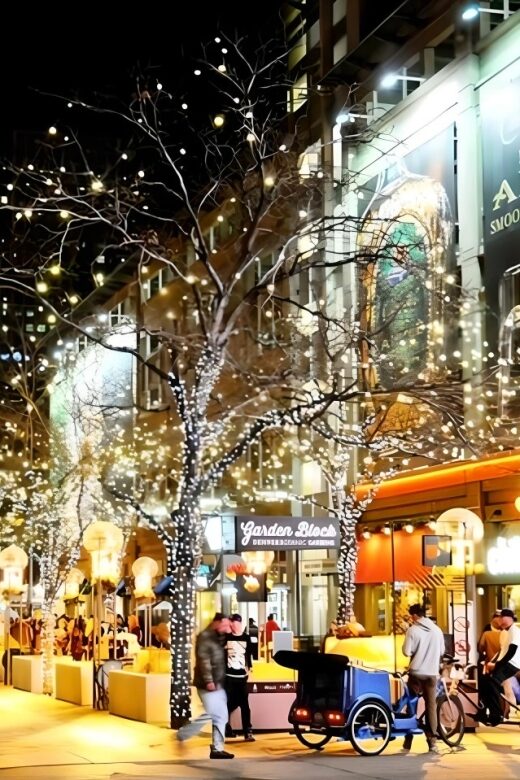 Denver: Holiday Lights & Sights Bus Tour - A Detailed Look at the Tour